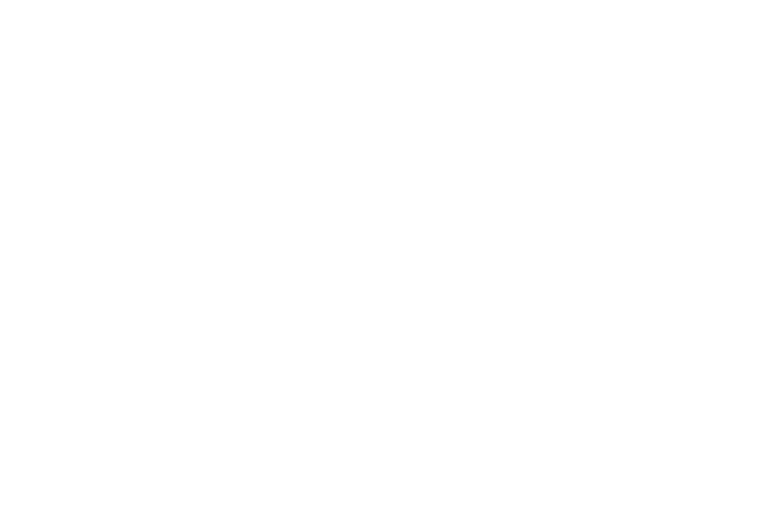 Inzu Group Logo