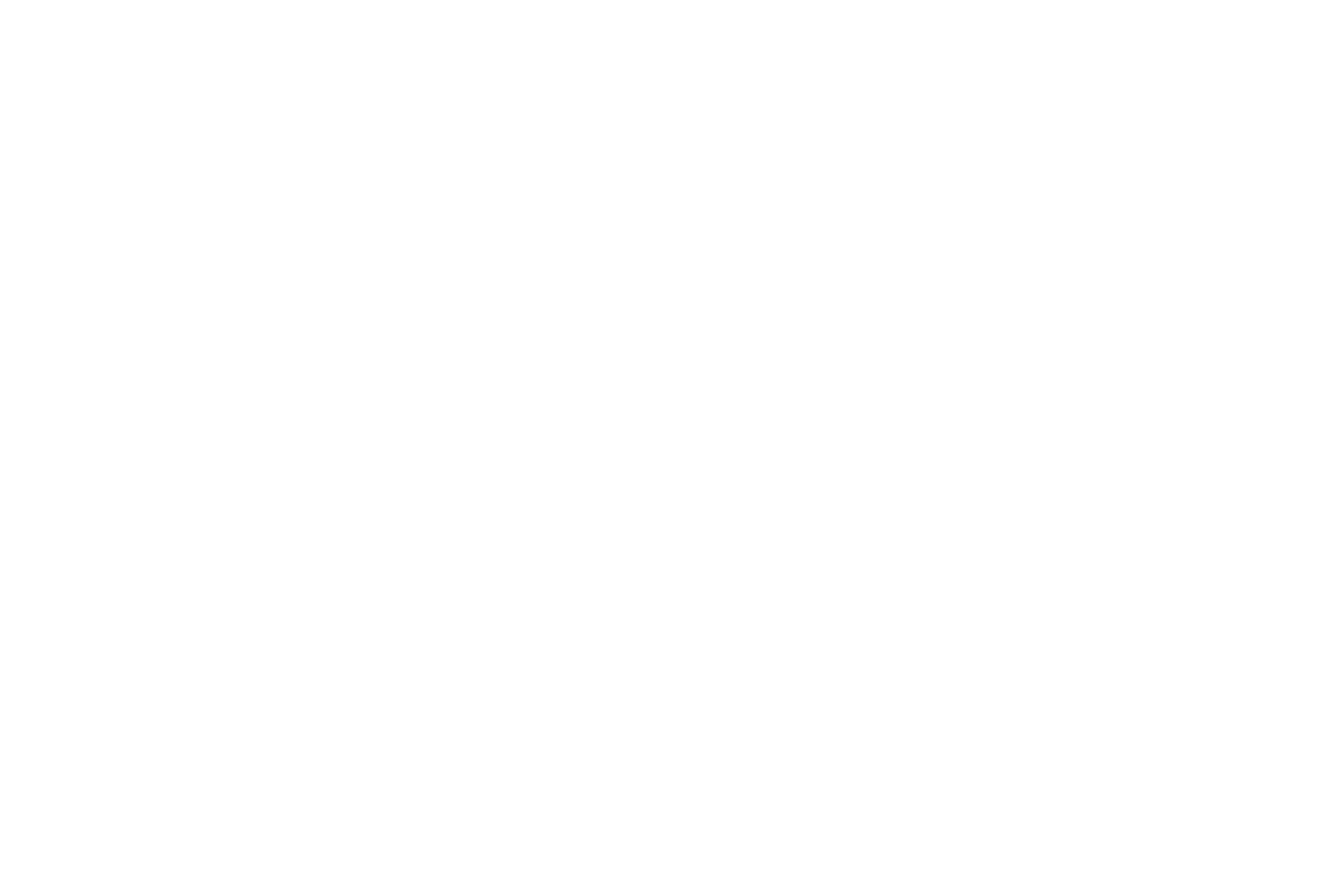 Inzu Group Logo